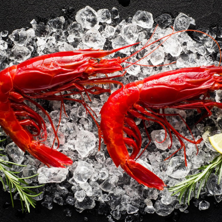 HK events, what's happening in HK this weekend